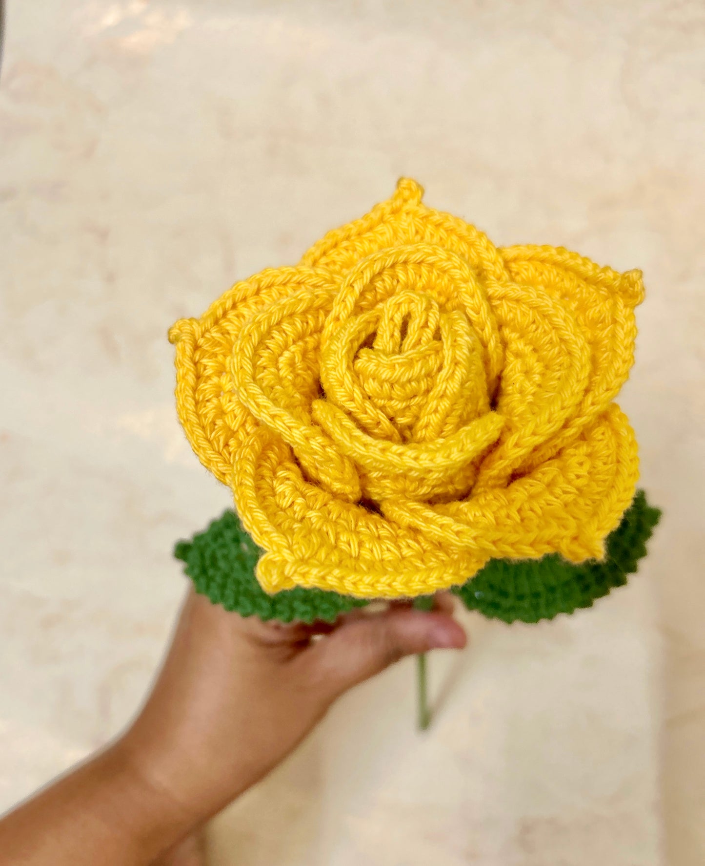 Single Shade Rose
