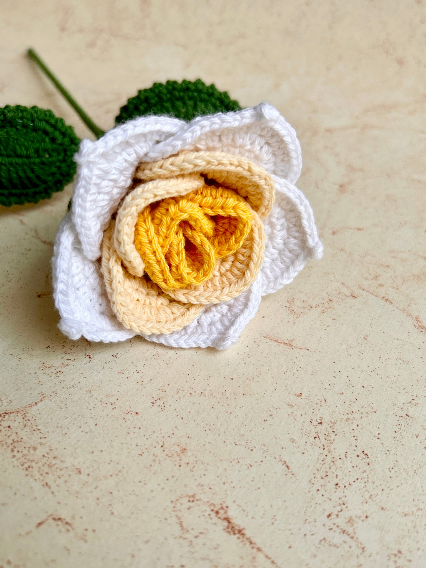 Multicoloured Rose